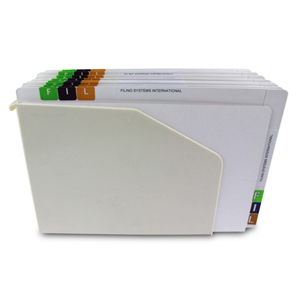 FO-006-01 FSI 330 gsm dual tab file folder 