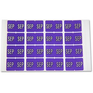 FSI Month label September
